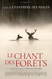 Chant foret affiche