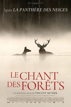Chant foret affiche